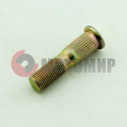 ������� ���� ������ ������� �����