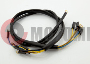 ������������5/��5����������� ������