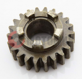 �������� ������� ��������� 22 ���.