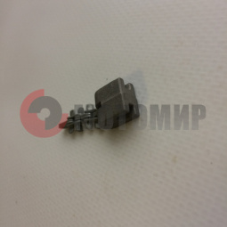 ������� ���� ���� � ����� � ��������