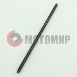 ������ ���� ������