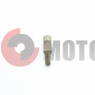 ���� ��������� �����