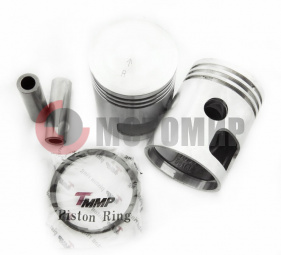 ������� ���6� 5 ���. (�����)