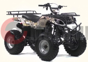 ���������� IRBIS ATV200 200��3