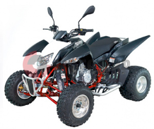 ATV QuadRaider 450 ���������� ������ ������