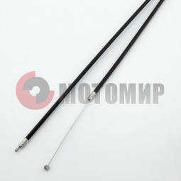 ���� ���� ���� ������� �������