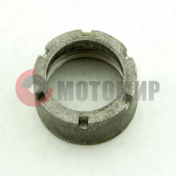 ����� ���� ���������