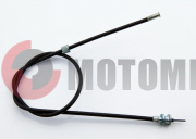 ���� ����� ����������