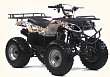 ���������� IRBIS ATV200 200��3