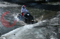 �������� TAYGA ����� 500