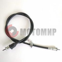 ���� ������ �������� ����������