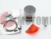 �������   2T TB 50, Suzuki RUN   1,00   (?42,00 p-10)  TNT