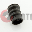 ���������� ����������� ����� ����� (���������) (3.113-11623�)