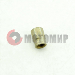 ����� ���� ������� ( ������)