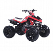 ATV Irbis 110 S