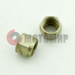 Гайка Иж крепления бензокрана к бензобаку (ИЖГ-25) Гайка Иж крепления бензокрана к бензобаку (ИЖГ-25)