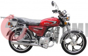 ����� ���� ALPHA 50�� �1