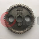 �������� ���� ��� �������