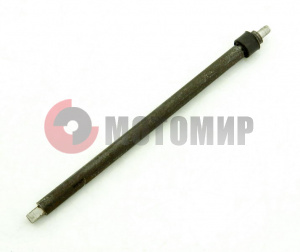 ���� ���� ���������