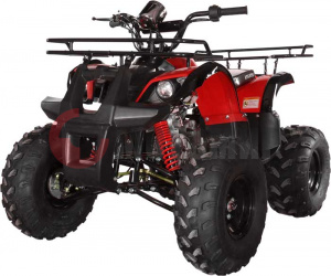 ���������� Avantis Hunter 8" Lite 125cc 4� (2018 ���)