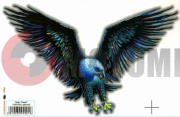 �������� ���� HAWK (160*240) ��.