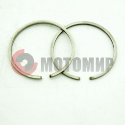 ������ ������ ����� 61,75 �� �����