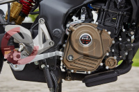 �������� BAJAJ Pulsar 200NS, �������, �����, �����, �����