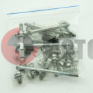 Набор болтов двигателя Газуля 4т. Набор болтов двигателя Газуля 4т.