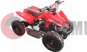 ATV MM PHOENIX SPORT ������� �������������
