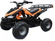 ATV MM RANJIR ELFORCE �������������