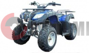 ATV MM BEORN 200 (����������� AVENGER)
