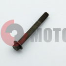 ���� 250�� �12*98 169FMM Strike