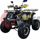 Квадроцикл Avantis Hunter 8"M+ 125cc 4т (2018 год) Квадроцикл Avantis Hunter 8"M+ 125cc 4т (2018 год)