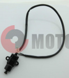 ������  �������� ����� �����250