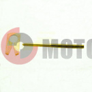 ���� ��� ����������� � ��������