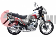 ����� ������� Lizard Lux (YM-111-112)