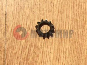 �����  �6 (�������)