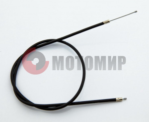 ���� ����� ����