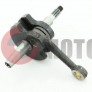 �������� �����12 ���������