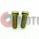 ���� �� �10 ������ ����������� 