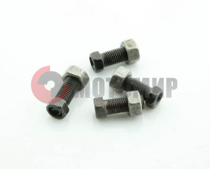 ���� ����������� ��������� �����