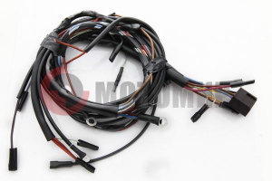 ������������������������������(�������������)�������